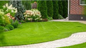 Beautiful Lawn with fertilizers - Middleton Farmers Cooperative
